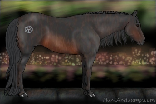 Horse Color:Brown Rabicano Brindle