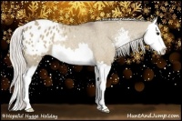 Horse Color:Silver Grullo Sabino Splash Varnish Rabicano 