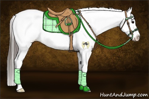 Horse Color:White Spotted Grullo Splash Appaloosa 