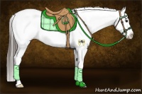 Horse Color:White Spotted Grullo Splash Appaloosa 