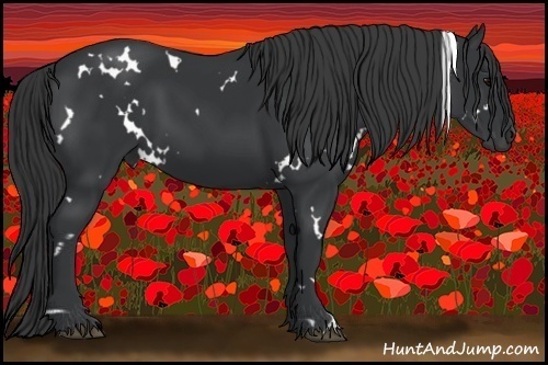 Horse Color:White Spotted Black 