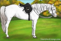 Horse Color:Liver Chestnut Sabino Varnish 