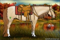 Horse Color:Red Dun Pearl 