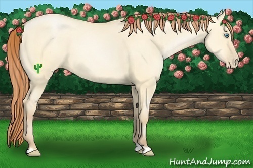 Horse Color:Buckskin Pearl Dun 
