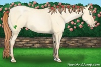 Horse Color:Buckskin Pearl Dun 