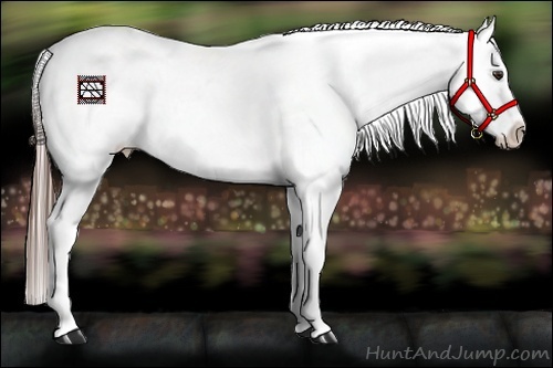 Horse Color:Liver Chestnut Snowflake Varnish