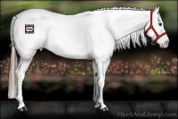 Horse Color:Liver Chestnut Snowflake Varnish