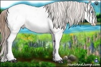 Horse Color:Bay Sabino Splash Snowcap 