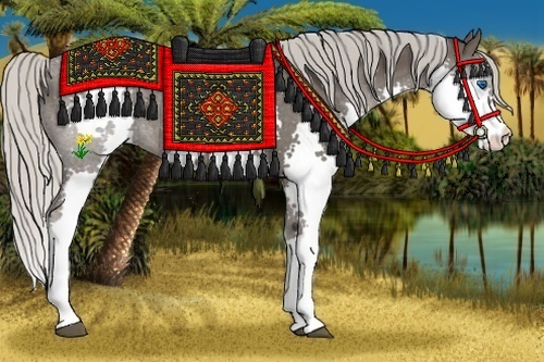 Horse Color:Silver Black Splash