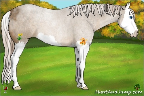 Horse Color:Chocolate Palomino Splash 