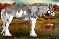 Horse Color:Silver Black Splash