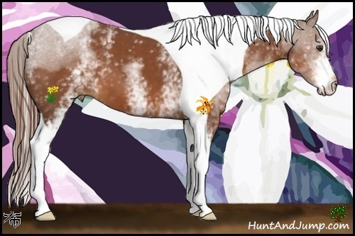 Horse Color:White Spotted Chestnut Tobiano 