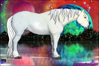 Horse Color:Gray White Spotted Chestnut Ice 