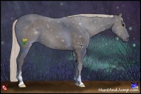 Horse Color:Silver Black Sabino