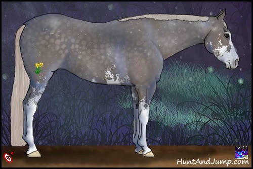 Horse Color:Silver Black Sabino