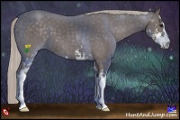 Horse Color:Silver Black Sabino