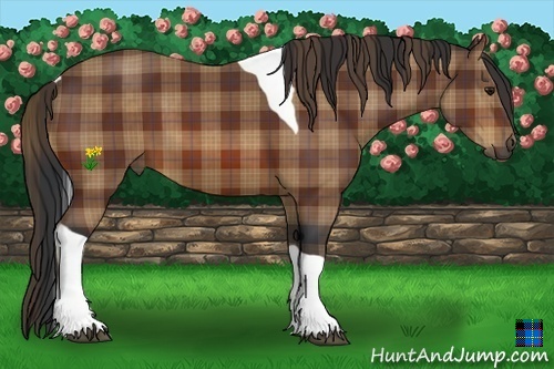 Horse Color:Plaid Bay Tobiano