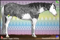 Horse Color:Smoky Black Ice Sabino Splash Rabicano