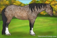 Horse Color:Brown Ice Dun
