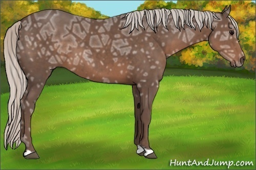 Horse Color:Silver Black Ice 