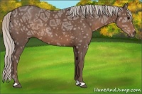 Horse Color:Silver Black Ice 