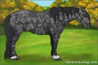 Horse Color:Black Ice 