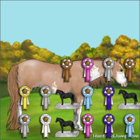 Horse Color:Black Pearl Sabino