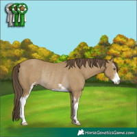 Horse Color:Classic Cream Champagne Sabino Rabicano