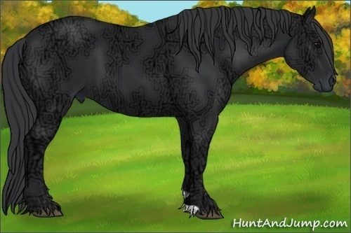 Horse Color:Black Ice 