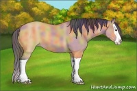 Horse Color:Nacre Bay Dun Splash 