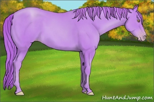 Horse Color:Watercolor Gold Champagne