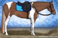 Horse Color:Chestnut Tobiano