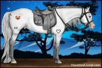 Horse Color:Silver Amber Champagne Chinchilla Roan Dun