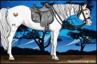 Horse Color:Silver Amber Champagne Chinchilla Dun Tobiano 