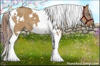 Horse Color:White Spotted Red Dun Tobiano