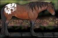 Horse Color:Bay Roan Varnish 
