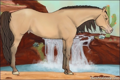 Horse Color:Amber Champagne 