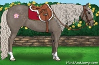 Horse Color:Silver Smoky Black 