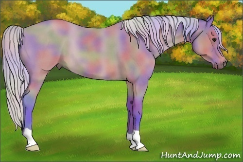 Horse Color:Nacre Watercolor Silver Bay Roan 