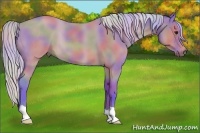 Horse Color:Nacre Watercolor Silver Bay Roan 