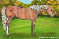Horse Color:Nacre Silver Bay