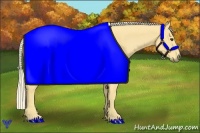 Horse Color:Palomino
