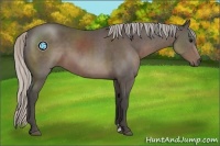 Horse Color:Silver Black Sabino 