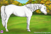 Horse Color:Gray White Spotted Smoky Creme Ice Frame