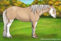 Horse Color:Silver Classic Champagne Sabino Splash Frame 