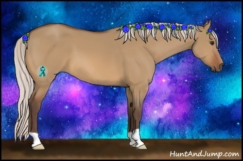 Horse Color:Silver Bay Dun 