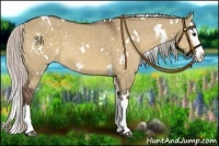 Horse Color:White Spotted Silver Bay Dun Splash 