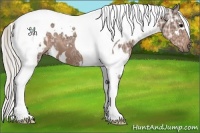 Horse Color:White Spotted Silver Black Ice Tobiano