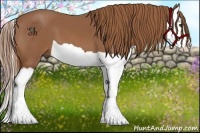 Horse Color:Chestnut Splash 