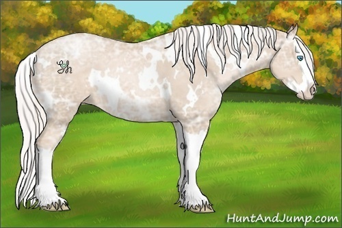 Horse Color:White Spotted Silver Smoky Black Ice Pearl Sabino Splash